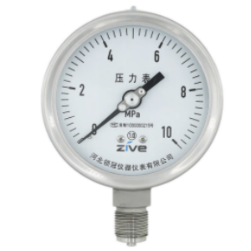 ZIVE 工业安全压力表ZIVE-1306460高清大图