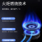 华帝i10013T燃气灶 天然气双灶台式家用灶具w01013