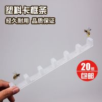 中蜂成品巢框卡条(20条装) 成品巢框带巢础框10片装杉木巢框巢基全套中蜂巢脾蜜蜂箱养蜂工具