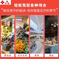 埃利斯(AILISI)鲜花保鲜柜XC-1200SL风冷保鲜柜风冷商用展示柜冷藏柜鲜花植物柜花店立式陈列柜