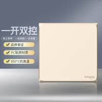 施耐德电气（Schneider Electric） 皓呈珍珠金 开关插座86型面板 家用墙壁式 五孔一开弱电插座 一开双控 珍珠金