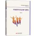 中国青年社会参与研究
