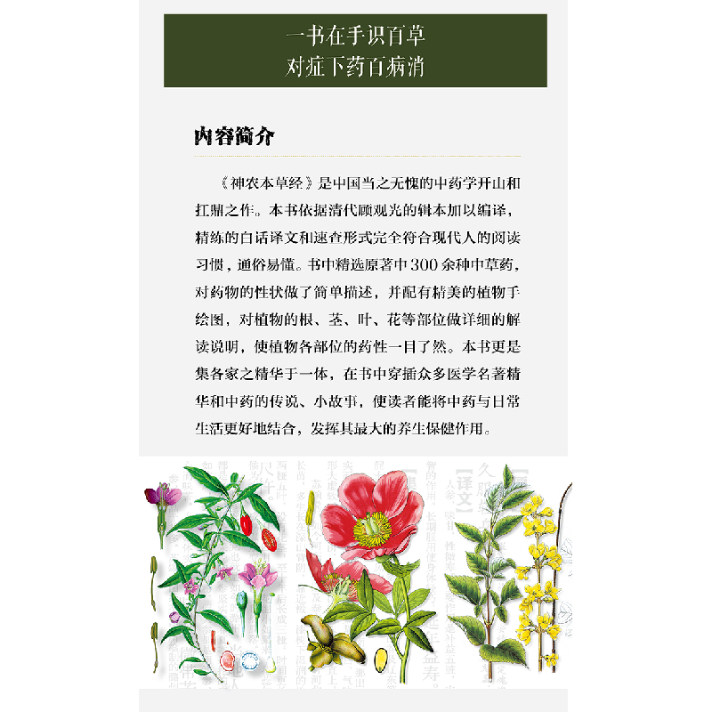 正版新书]图解 神农本草经中智博文9787557635831高清大图