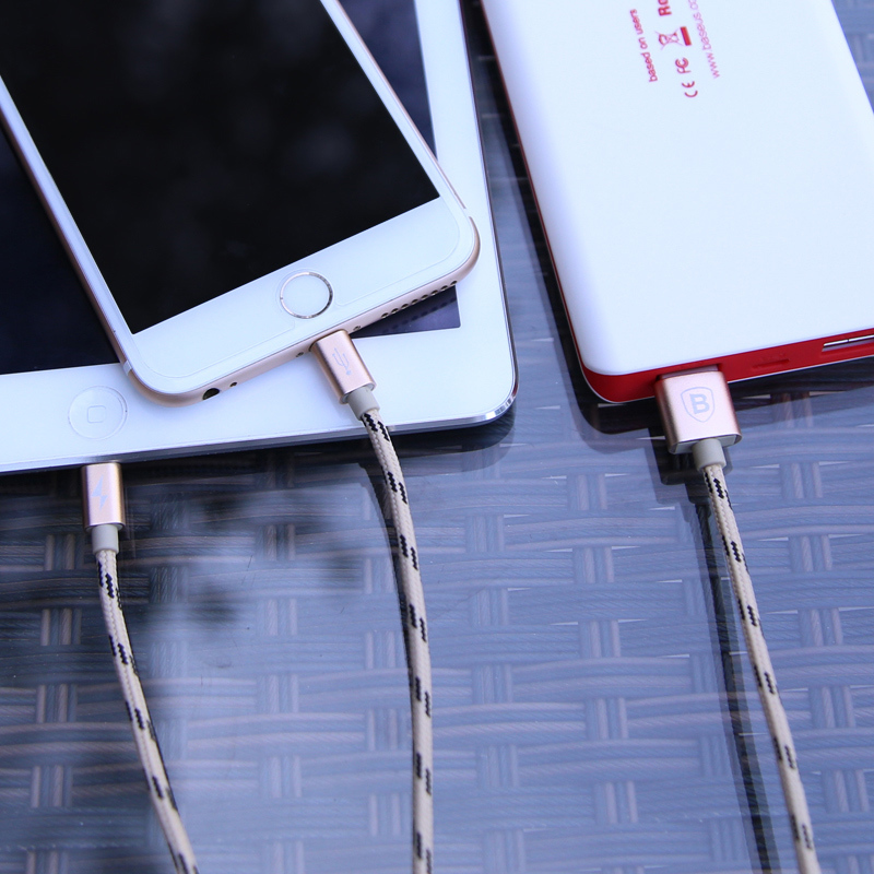 倍思(Baseus)苹果数据线二合一快充手机充电线 iPhoneX/8/7 Lightning接口 银色1.2米