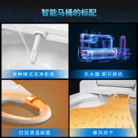 FAENZA法恩莎智能马桶自动冲水家用一体式地排即热喷射虹吸式全自动多功能卫浴坐便器305mm/400mm坑距F18