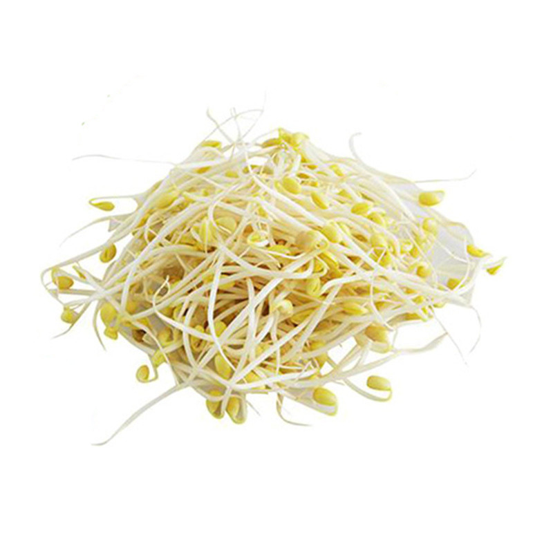 黄豆芽500g鲜豆芽新鲜蔬菜