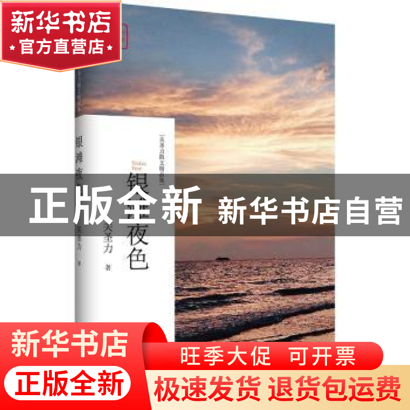 正版 银滩夜色 关圣力 中国言实出版社 9787517129042 书籍高清大图