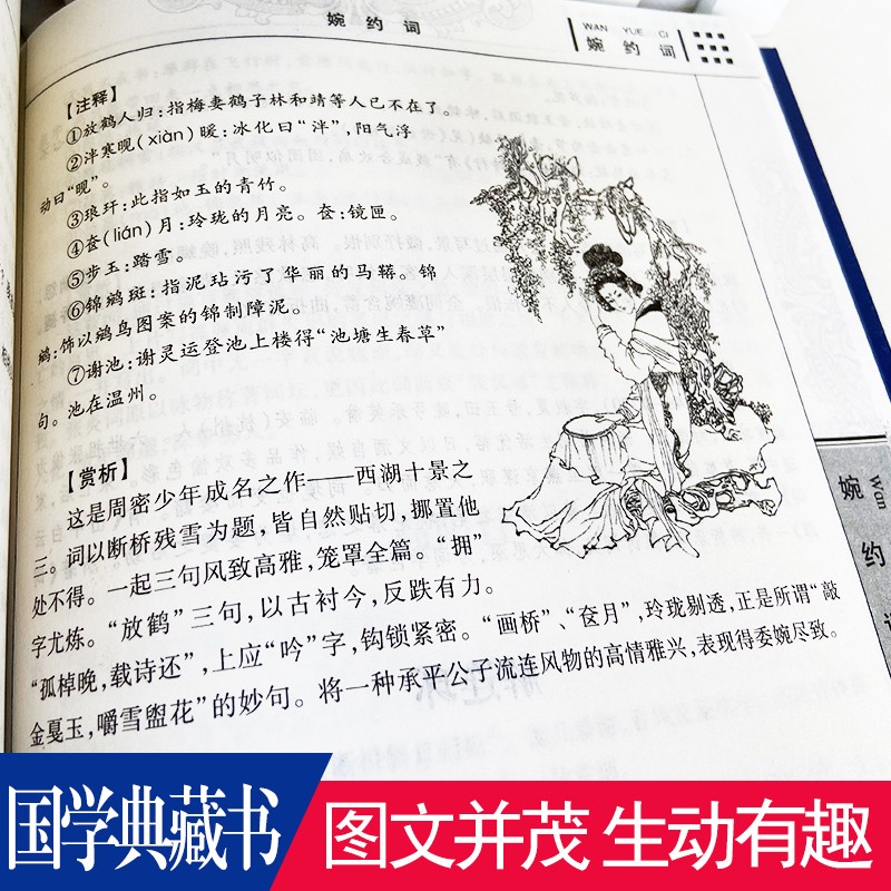 [正版]任选4本32元婉约词 国学典藏书文白对照图文珍藏版名著精读古典文学古代诗词 原文注释赏析图文本 疑难字注音书籍高清大图