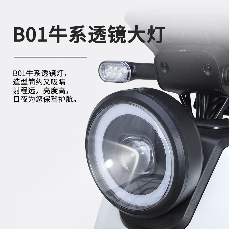 爱玛电动车48V20Ah时尚成人轻便锂电自行车电动车AM350活力橘/黑/亚黑