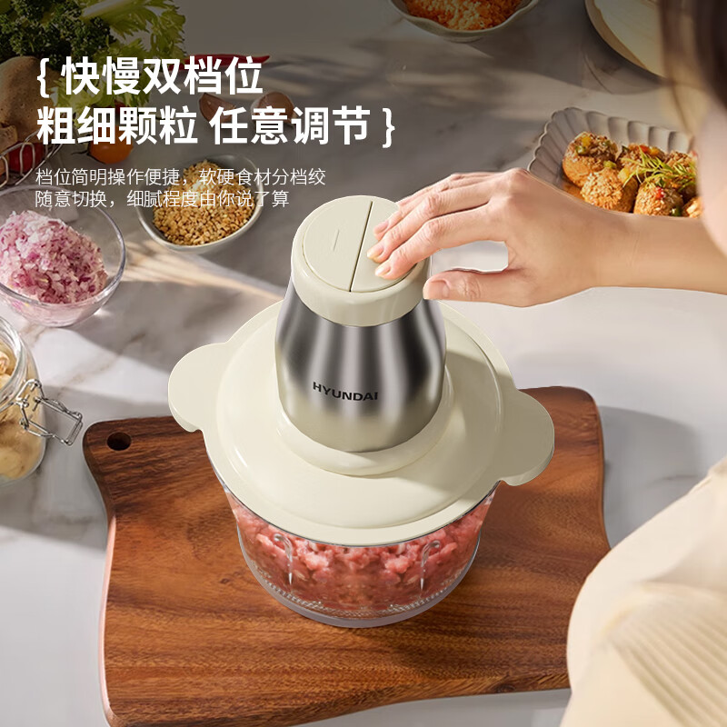 HYUNDAI(现代) 多功能食品加工机(绞肉机)XF-20 2L高清大图