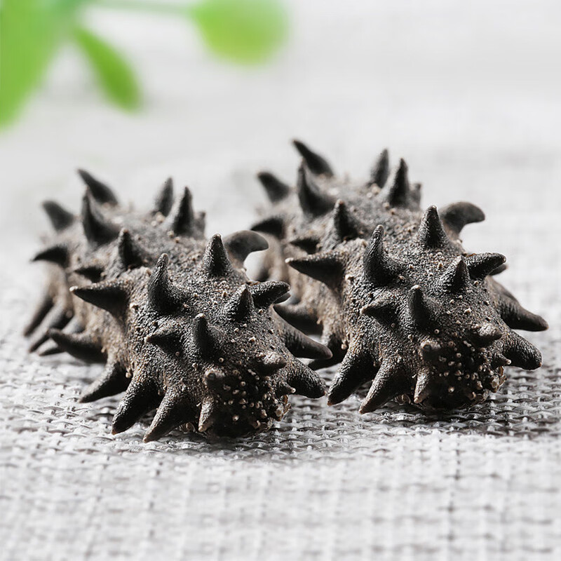 绿帝海参肉质肥厚大小均匀口味鲜美参体饱满口感弹嫩120g高清大图