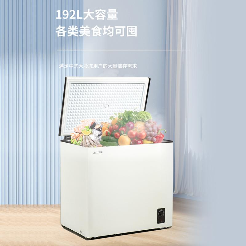 白雪冷柜BD/C92DS家用小冰柜2023象牙白冷冻冷藏转换冷冻箱