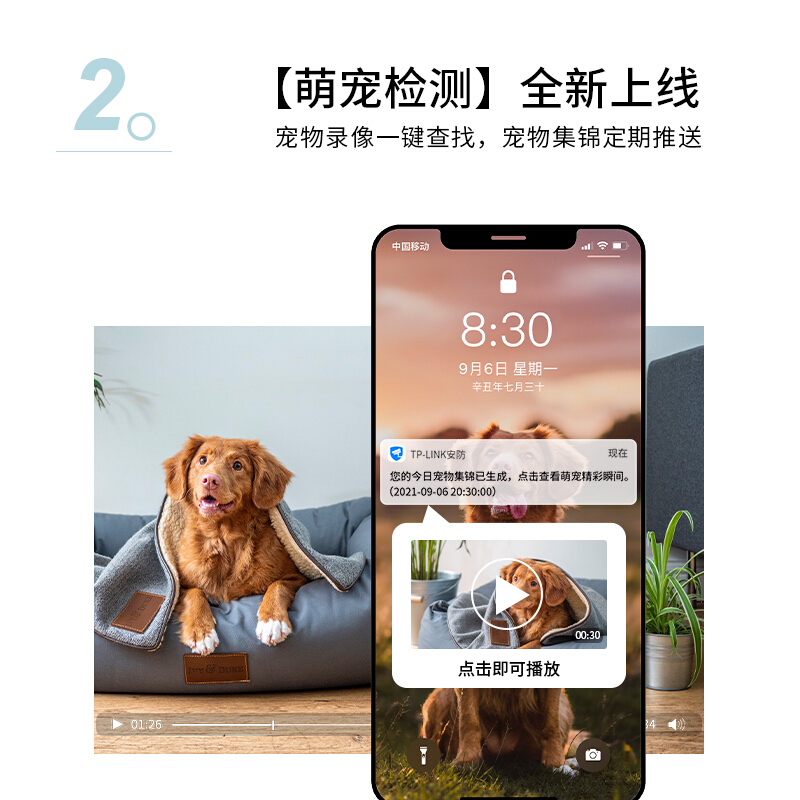 普联(TP-LINK)TL-IPC45AW 监控摄像头全彩2.5K超清500万像素多媒体视频智能网络 全景手机远程 标配