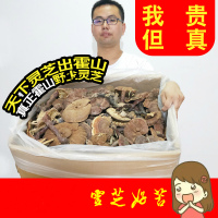 野外灵芝干货500克 整朵大个 大别山天然林芝 白马尖山民灵芝