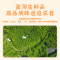 雀淘 皖南草公鸡3.5-4斤/只 1只装 农家慢养走地鸡新鲜现杀整只