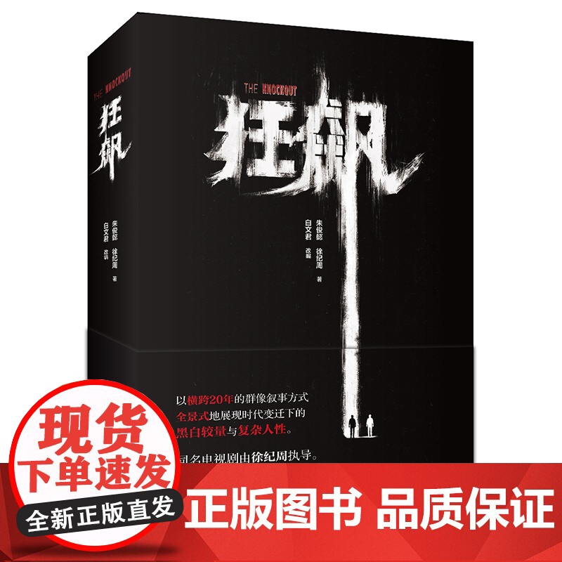 赠印签明信片 狂飙小说 徐纪周导演 张译 张颂文 李一桐主演同名电视剧 狂飙 原著 狂飙书籍 悬疑黑帮电视剧高清大图