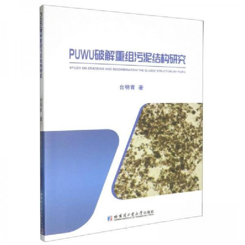 正版新书]PUWU破解重组污泥结构研究台明青9787560389097高清大图