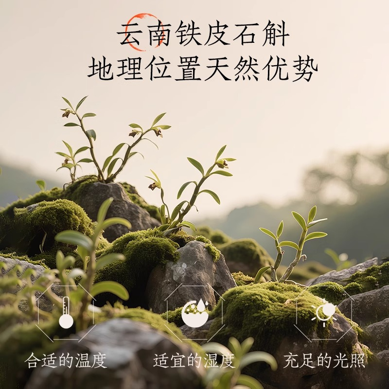 好望水石斛水水蜜桃风味饮料500ml*15瓶0添加蔗糖植物饮料高清大图