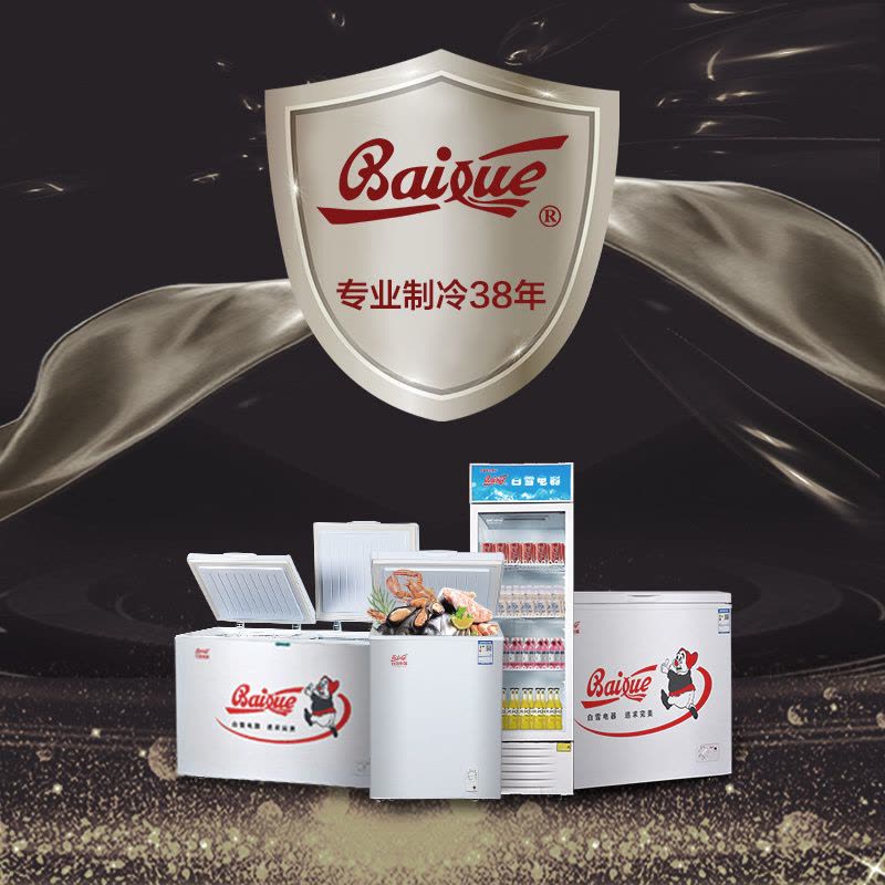 白雪(Baixue) BDX-280DS 280升冰柜 顶开门 卧式冷柜 双温卧式冰柜 冷藏冷冻双间室冷柜图片