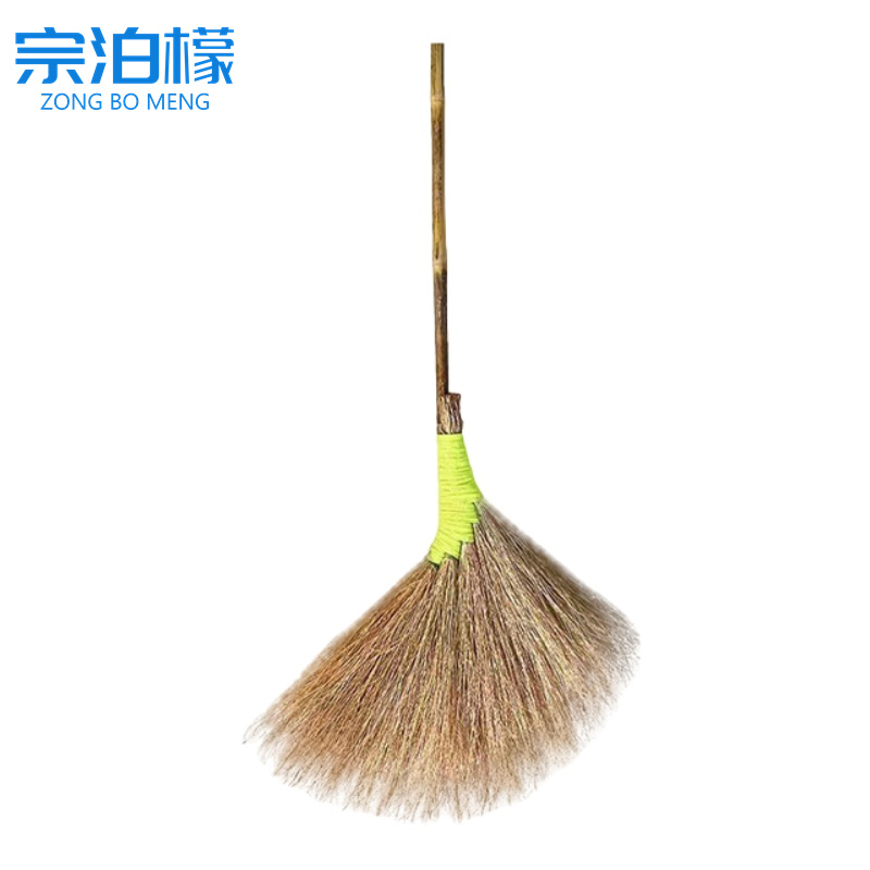 宗泊檬扫帚高清大图