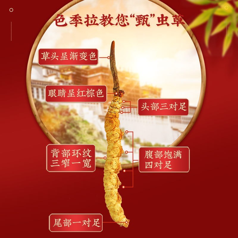 怀慈堂冬虫夏草正品干货虫草礼盒头期无断草送礼滋补养生佳品4根/克 1克装2015