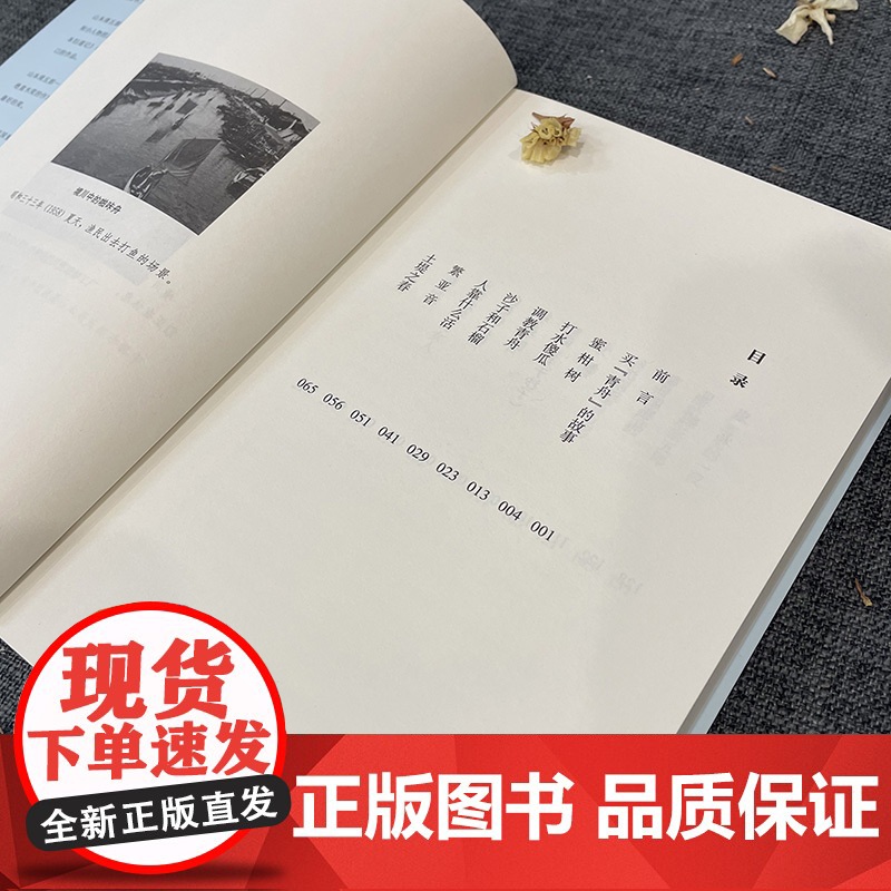 青舟物语 山本周五郎代表作 自传体小说演绎小镇中的青春与救赎 山本周五郎 古吴轩出版社 正版书籍高清大图