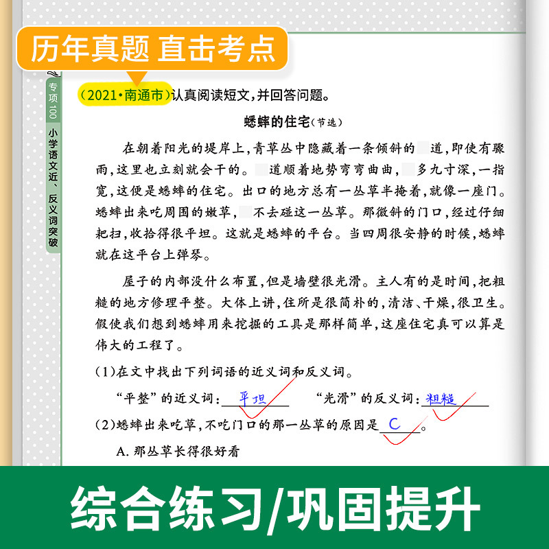 [语法套装3本]病句+修辞+标点 小学通用 [正版]易蓓小学生语文近反义词专项突破一二三四五六年级词汇积累训练大全书练习
