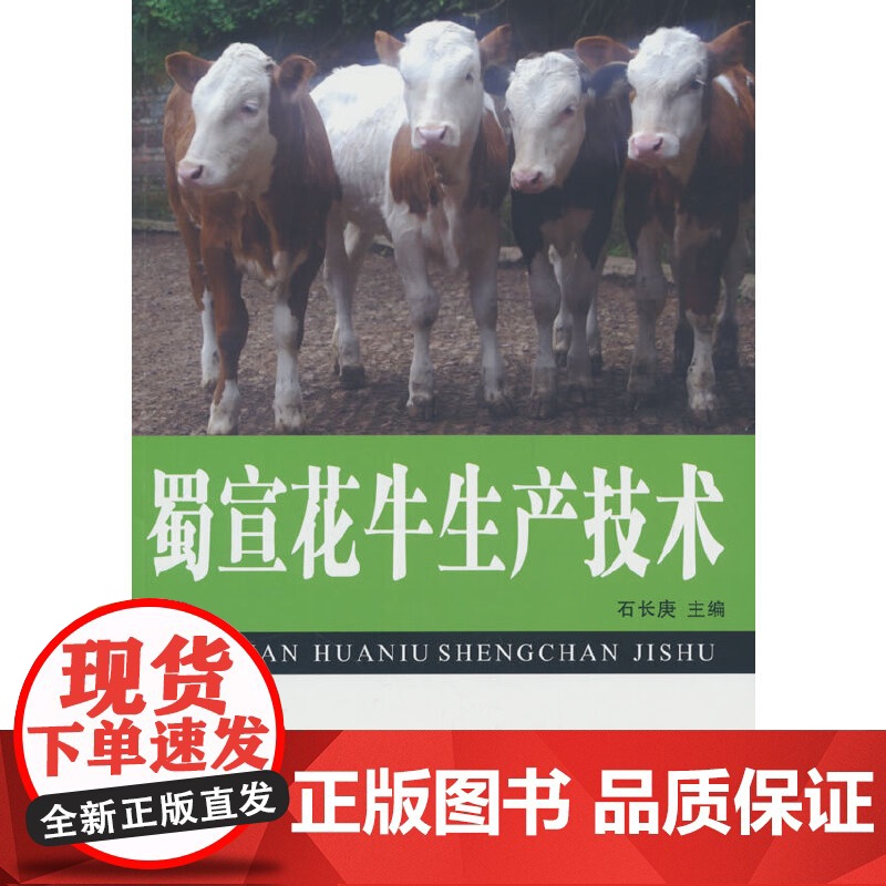 蜀宣花牛生产技高清大图