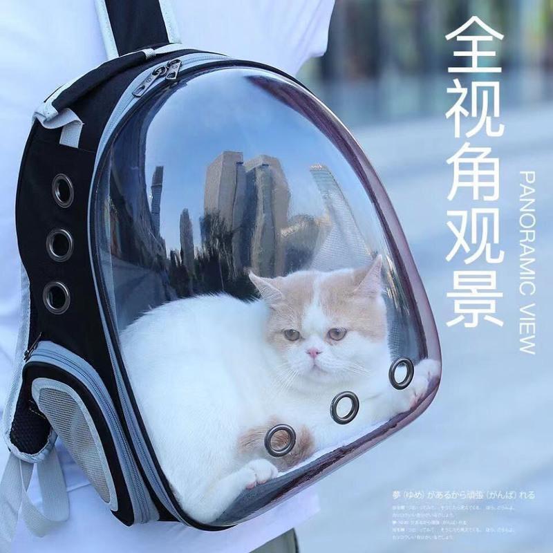 裸包小号单肩 送密码锁+毛绒垫子 宠物背包透明包猫咪外出天窗款全景侧开狗包太空舱航空箱双肩背包