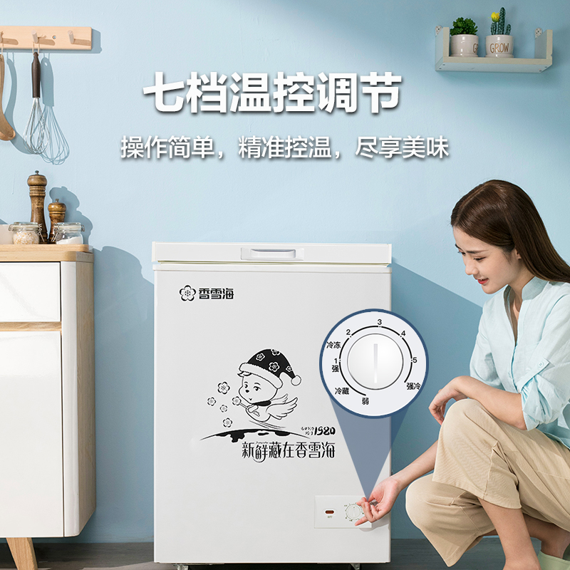 香雪海96升冰柜家用小型冷冻柜冷藏小冰柜小型家用减霜冰柜BD/BC-108高清大图
