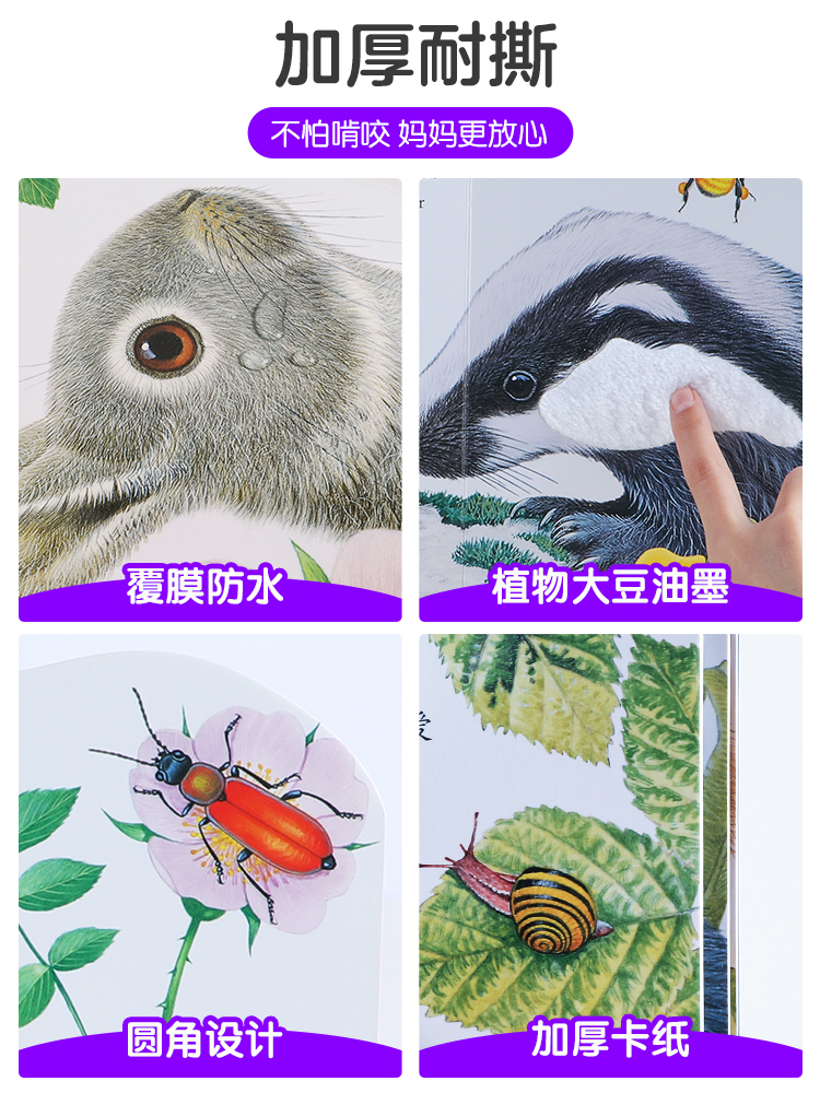 动物朋友手指推拉书-调皮的小狗 [正版]亮丽精美触摸书小兔比利小熊波比小水獭奥斯卡中英双语绘本0-3岁幼儿启蒙认知手偶书高清大图