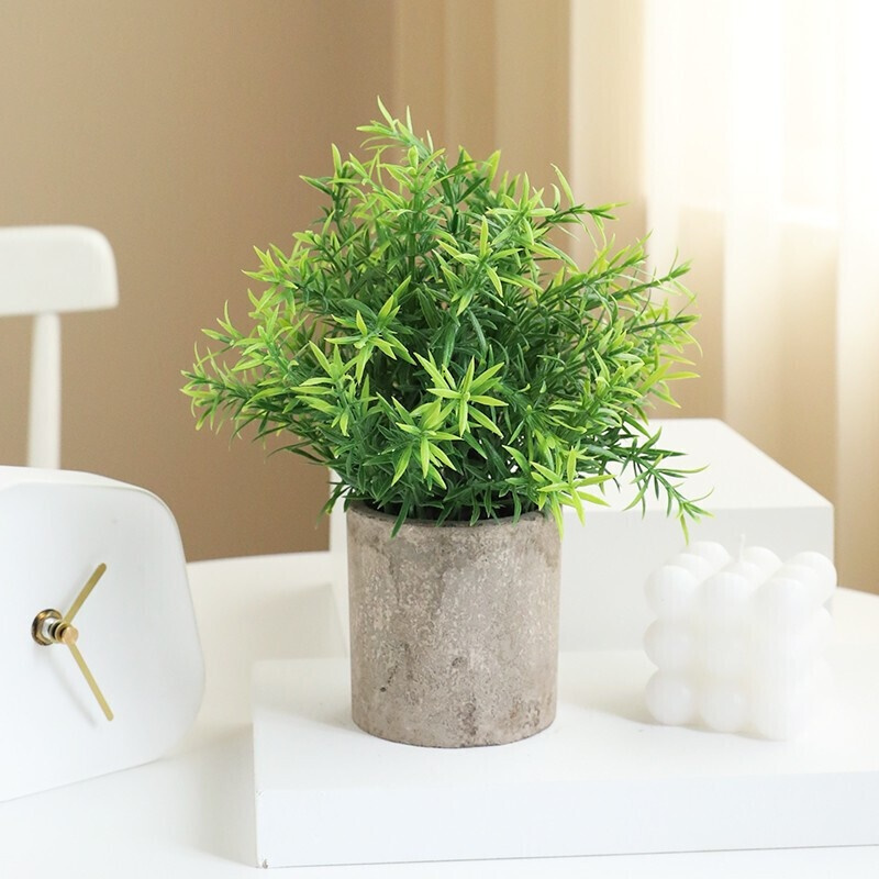 黛莉森仿真绿植盆景盆栽水泥盆迷迭香