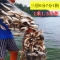 [优先发货]细丝餐鱼网粘网沉网浮网白条1指小鱼网1米高6分7分8分9分三层渔网
