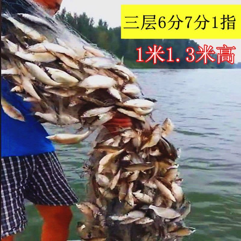 [优先发货]细丝餐鱼网粘网沉网浮网白条1指小鱼网1米高6分7分8分9分三层渔网图片