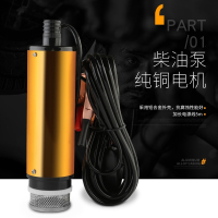 电动抽油泵柴油12v24伏通用加油枪全自动小型静音车载自吸油抽子 24V油泵+加油枪+10米钢丝管
