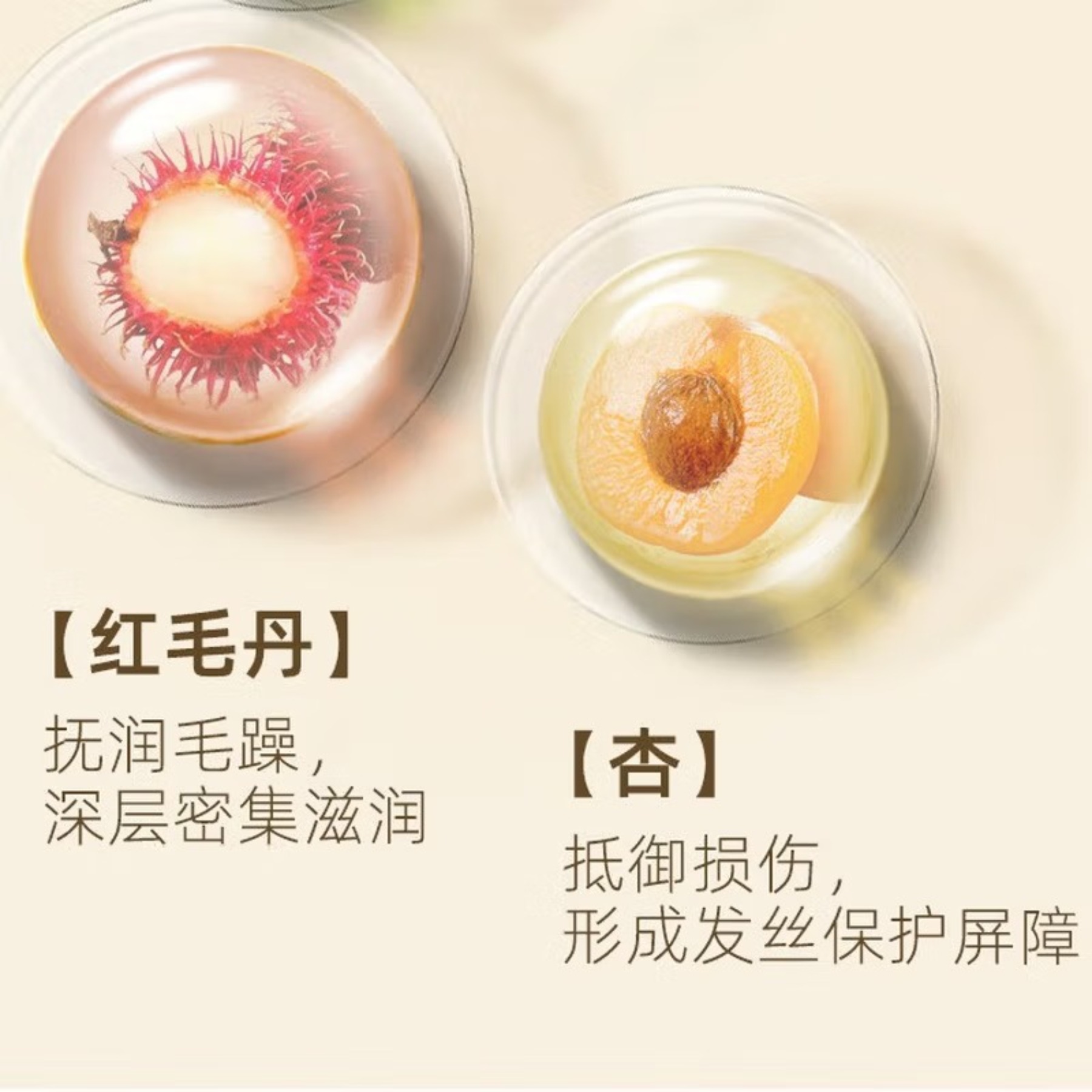 10129006940028高清大图