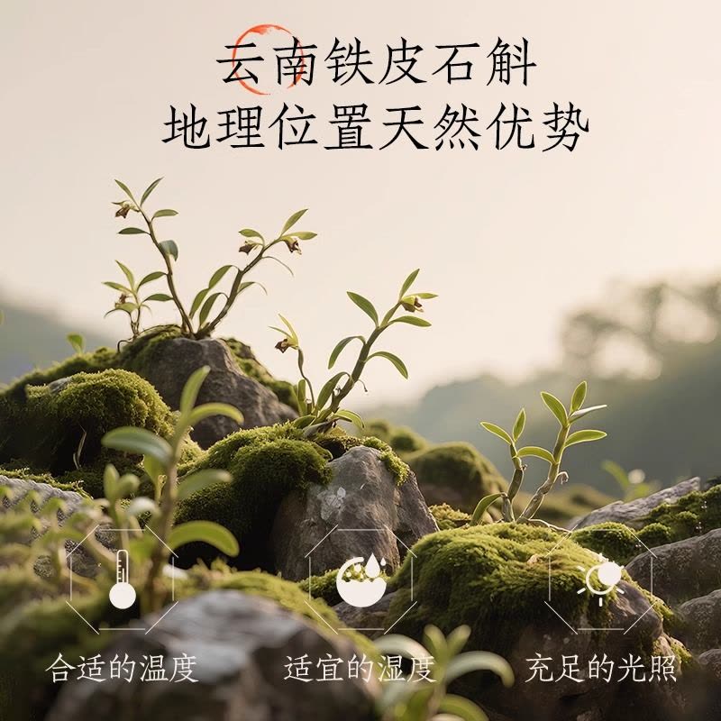 好望水石斛水水蜜桃风味饮料500ml*3瓶0添加蔗糖植物饮料图片