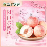 [五个农民]正宗无锡阳山水蜜桃湖景桃7-8两6个礼盒装新鲜水果桃子 产地空运直发