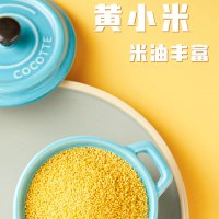 十月稻田磨米世家黄小米1kg