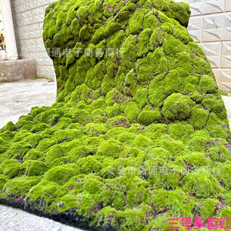 仿真苔藓草皮造景 三号多苞红底_二平方 2x1米长左右高清大图