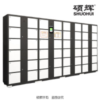 [硕辉]SH-L智能人脸指纹密码存取柜 加厚冷轧钢板指纹人脸识别储物柜3400*460*1850mm