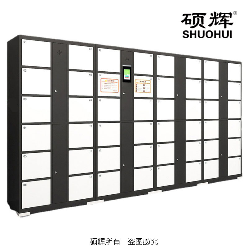 [硕辉]SH-L智能人脸指纹密码存取柜 加厚冷轧钢板指纹人脸识别储物柜3400*460*1850mm
