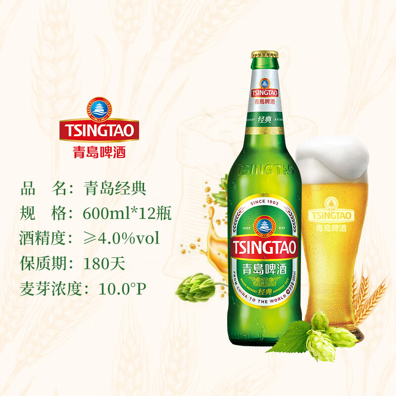 青岛啤酒(tsingtao)经典啤酒 600ml*12瓶 升级大容量 整箱装