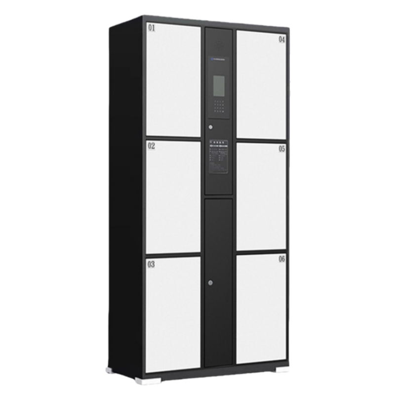 智叶舟电子存包柜人脸识别6门850*460*1800mm台高清大图