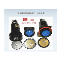 友泰 防爆插头 YT60 单项三极 (单位:个)