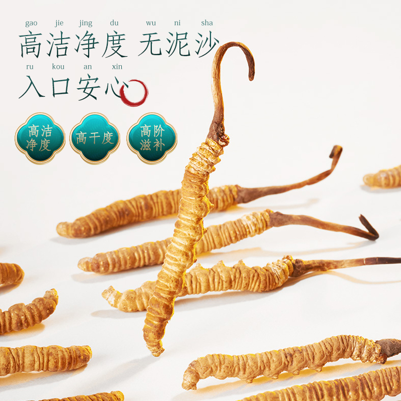 蔡府3A冬虫夏草 4g高清大图