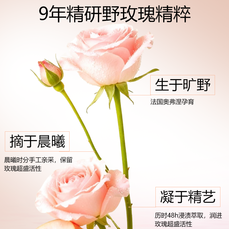 卡诗釉光玫瑰莹润洗发水保湿抗毛躁柔顺蓬松洗发膏无硅油洗发露80ml高清大图