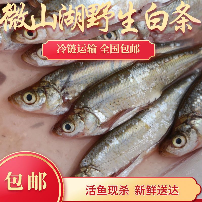 赛卡伊 新鲜白条餐条小刁子翘嘴鱼柳叶鱼白丝鱼现杀去内脏现发 大号装 两斤装