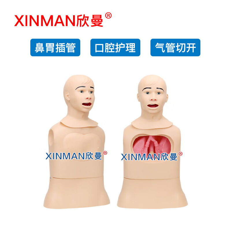 欣曼 高级鼻胃插管及口腔护理模型人 鼻饲模型XM-BWGA高清大图