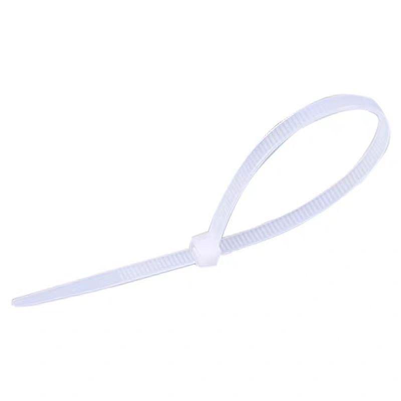 尼龙扎带 10*300mm 根高清大图